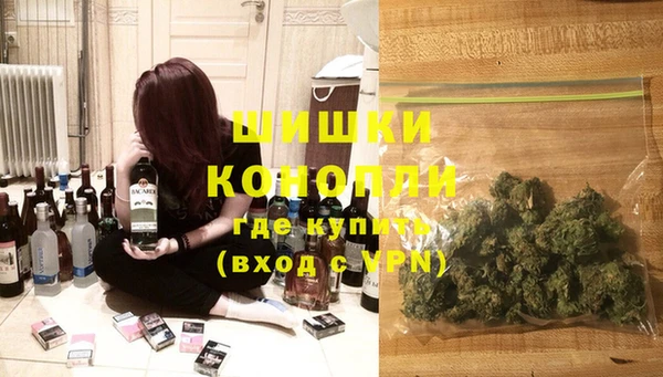ГАЛЛЮЦИНОГЕННЫЕ ГРИБЫ Белокуриха