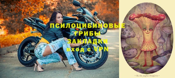 ГАЛЛЮЦИНОГЕННЫЕ ГРИБЫ Белокуриха