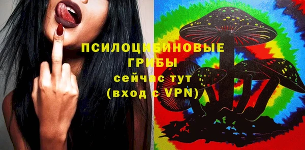 ECSTASY Белоозёрский