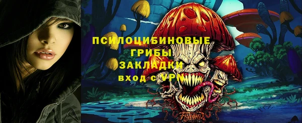 ECSTASY Белоозёрский