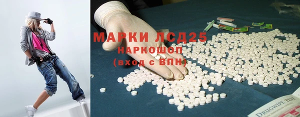ГАЛЛЮЦИНОГЕННЫЕ ГРИБЫ Белокуриха