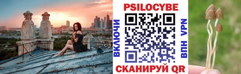 Псилоцибиновые грибы мицелий Купить закладки Подпорожье